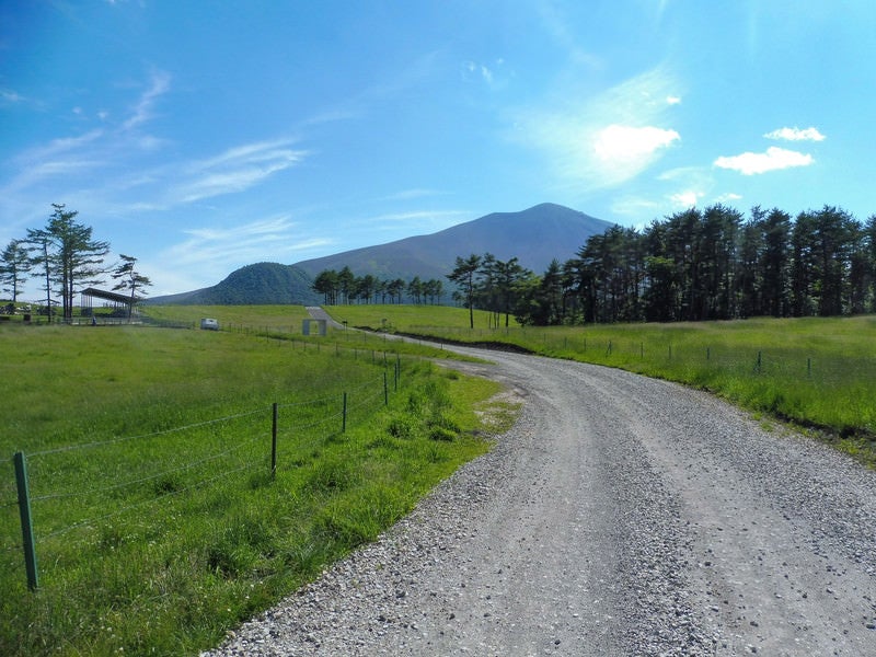 浅間牧場の遊歩道の写真