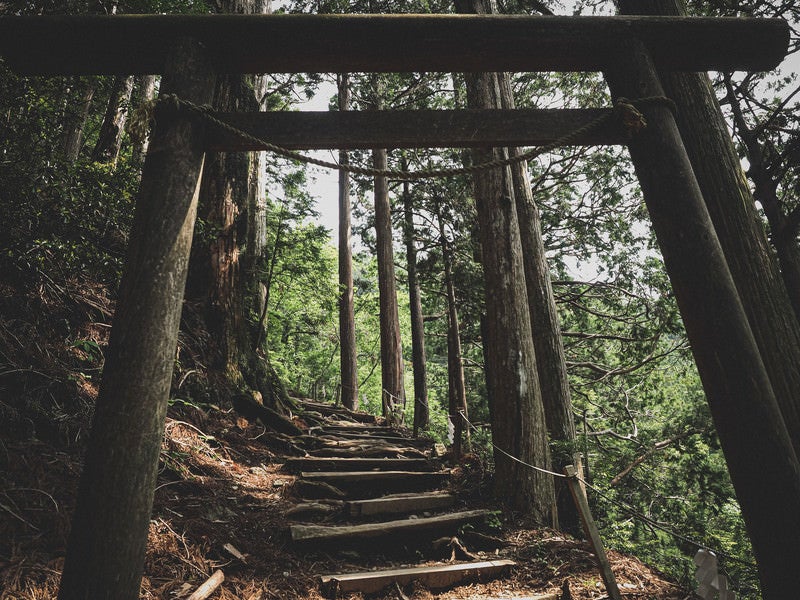 玉置神社へと続く鳥居と階段の写真