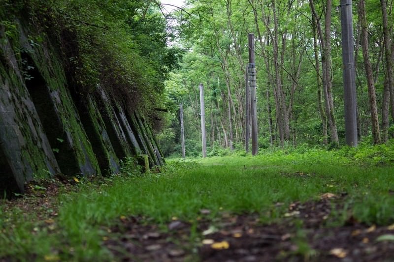 緑が茂る廃線道の写真