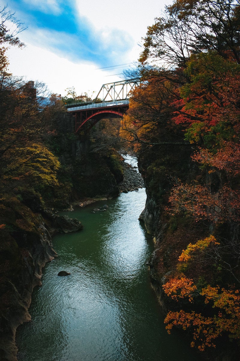 吾妻渓谷の紅葉と鉄橋の写真