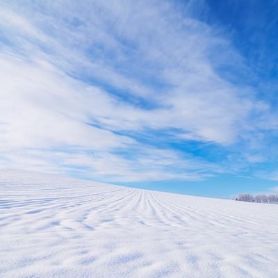 北海道の広大な雪原の写真