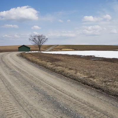 雪解けの砂利道の写真