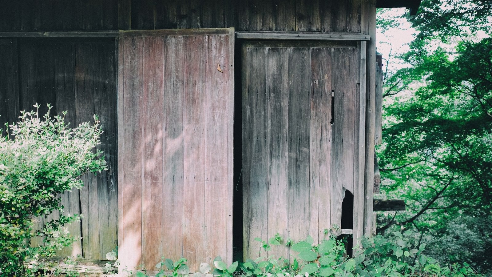 「荒廃した無人の住宅」の写真