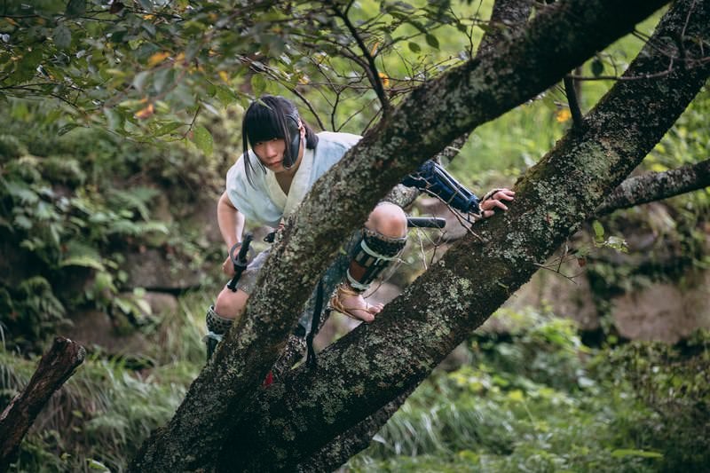 木の上に身を潜める野盗の写真