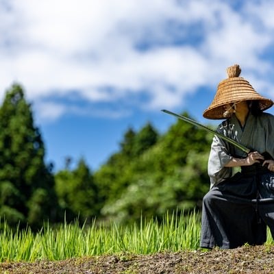 腰を落とし刀を構える武士の写真