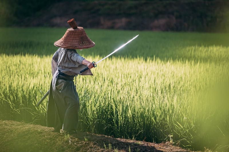 畦道で抜刀する笠侍の写真