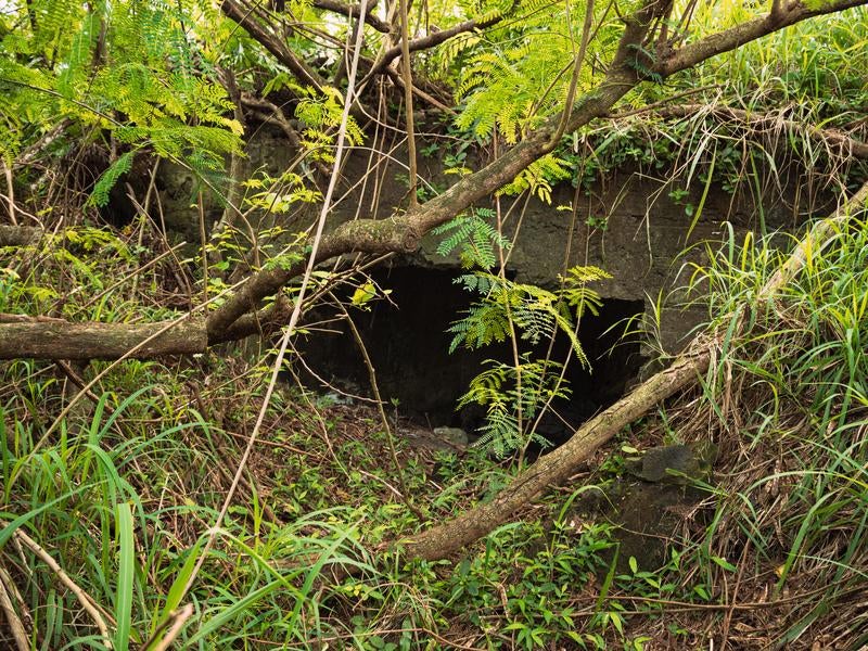 陸軍野砲陣地トーチカの後方部分の写真