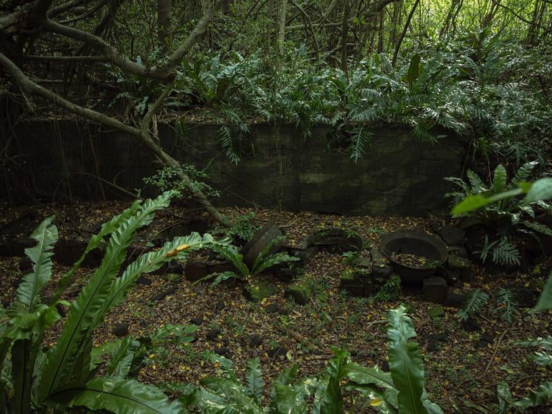 苔むす石垣と積もる落ち葉と釜場跡の静寂の写真