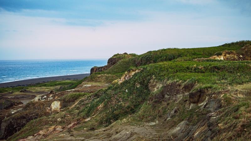 東海岸の緑豊かな断崖絶景の写真