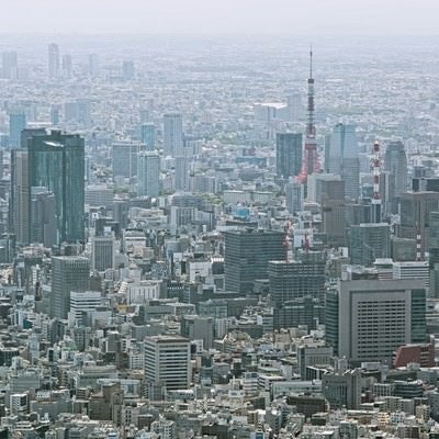 東京タワーとビル群の写真