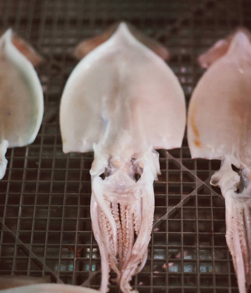 スルメの干物の写真