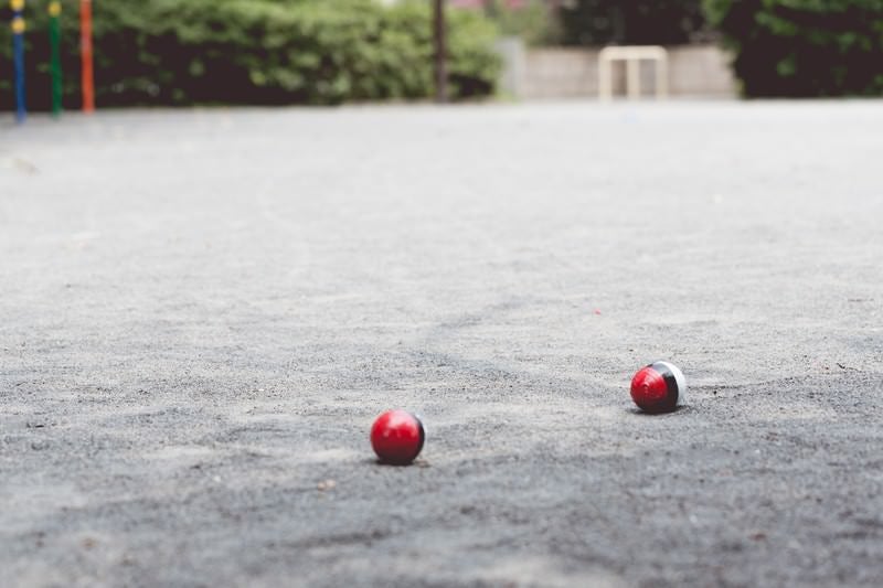 近くの公園にポケットサイズの紅白ボールが！の写真