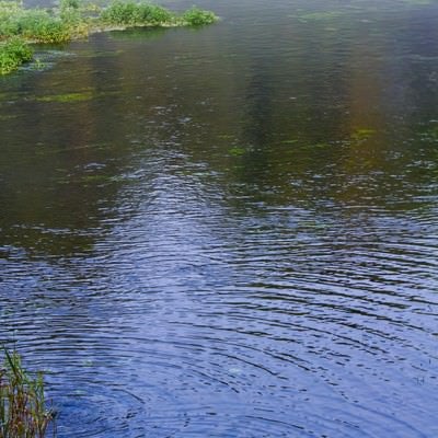 柿田川の湧き出る水源の写真