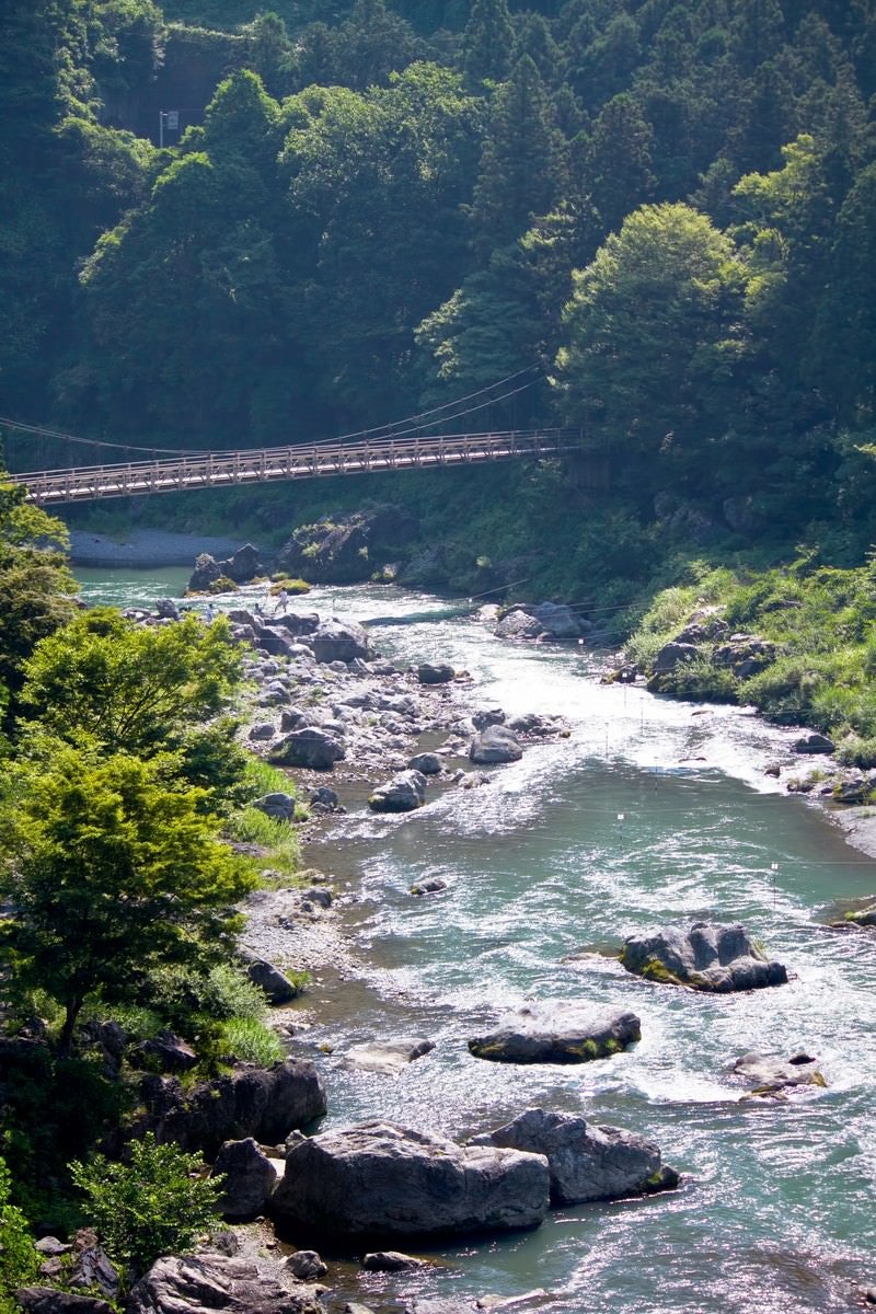 御岳渓流の様子の写真