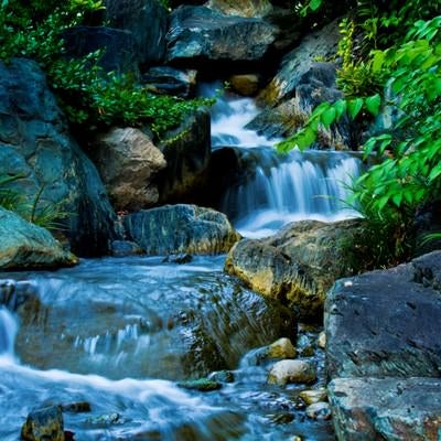 水の流れる小川の様子の写真