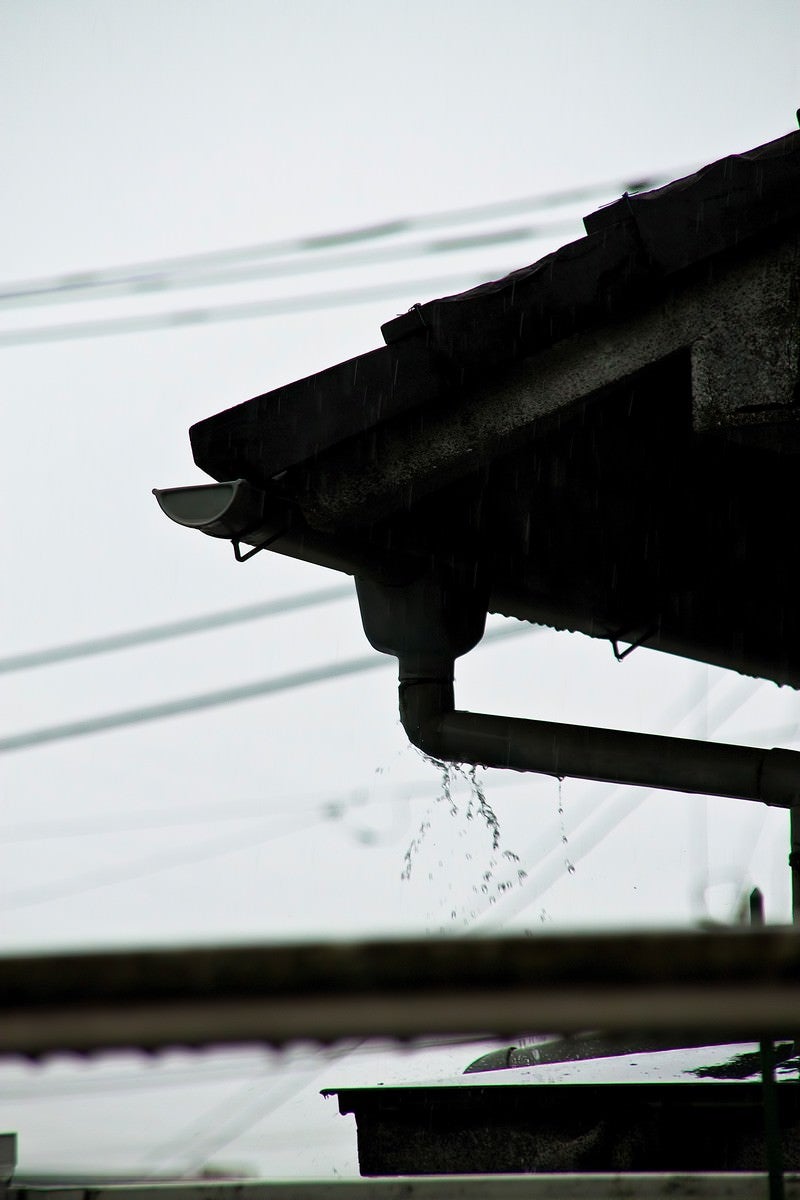 雨どいとしたたる雨の写真