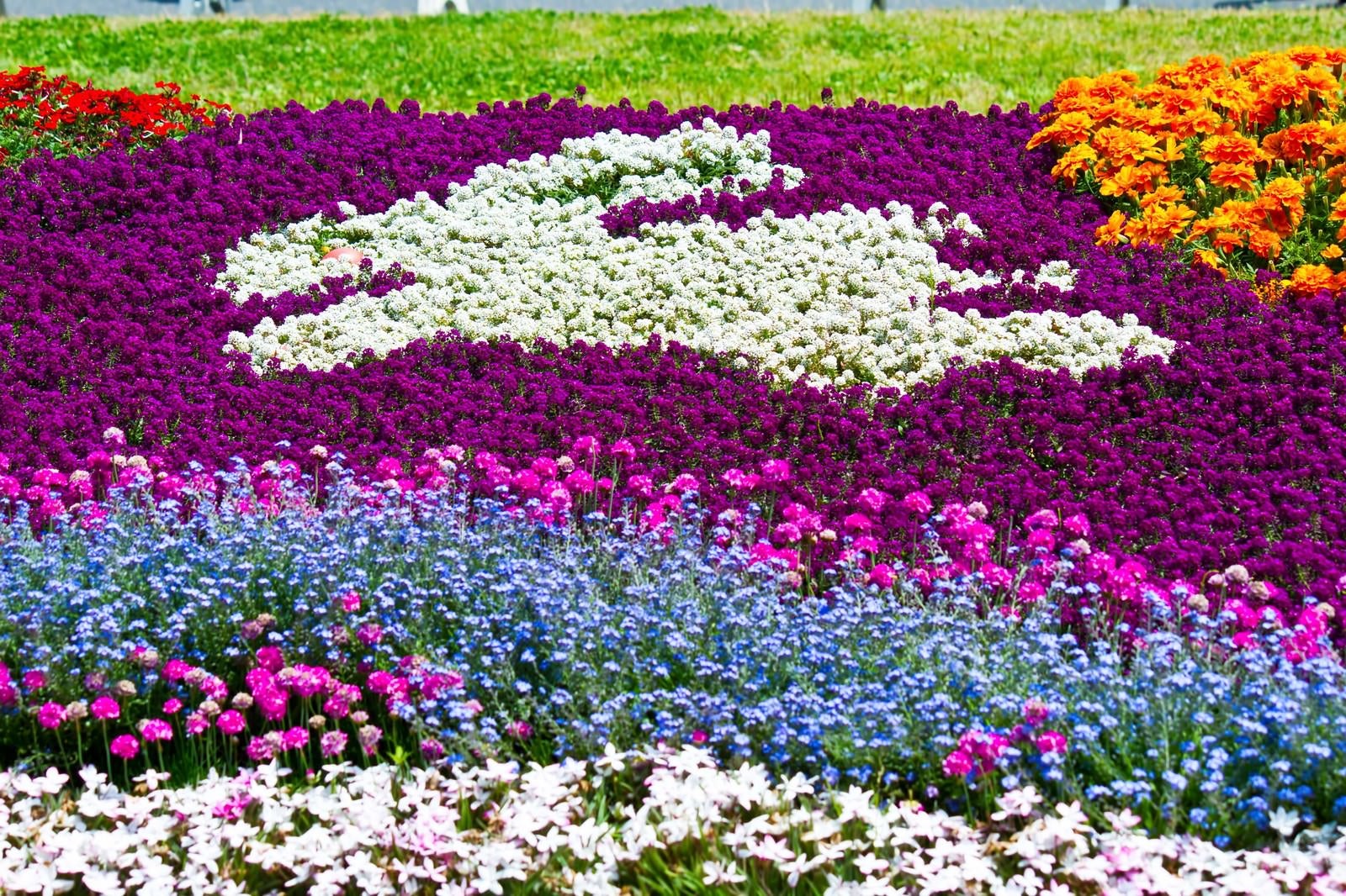 「うさぎ模様の花壇」の写真