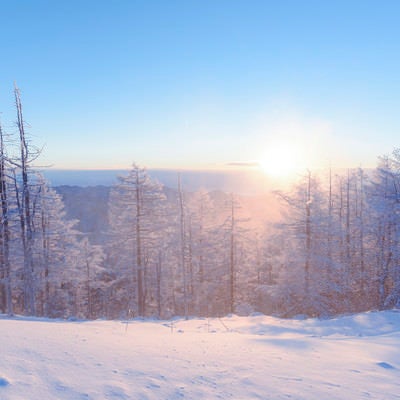 暖かな光に包まれる雲取山山頂の写真