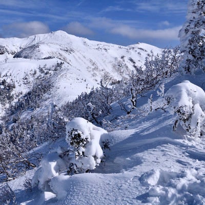 樹氷と雪化粧した上州武尊山（じょうしゅうほたかやま）の写真