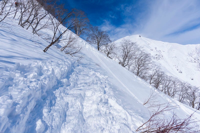 谷川岳のトレースの写真