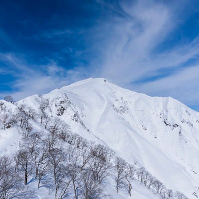 谷川岳山頂を見つめるの写真