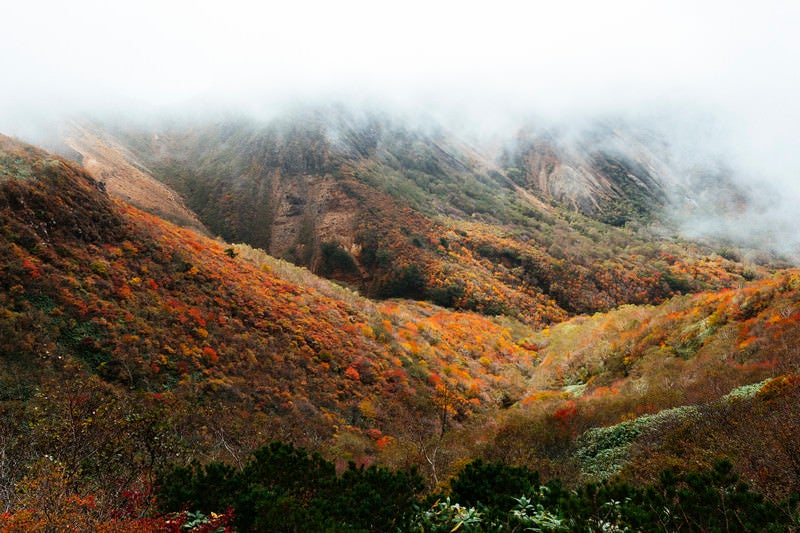 錦の紅葉に染まる那須岳中腹（那須岳）の写真