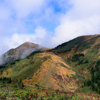 割引山と巻機山稜線の写真