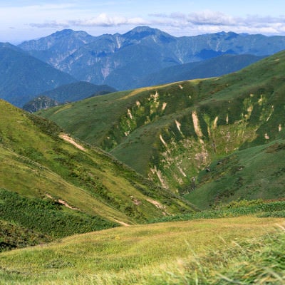 巻機山の大きな谷と越後駒ヶ岳たちの写真