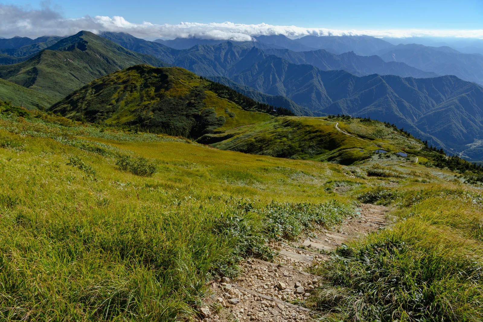 「巻機山山頂から小屋へと続く登山道」の写真