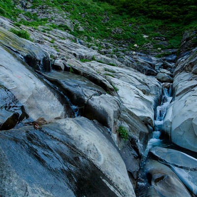 ヌクビ沢の登山道（巻機山）の写真