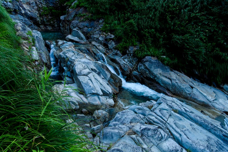 ヌクビ沢登山道（巻機山）の写真