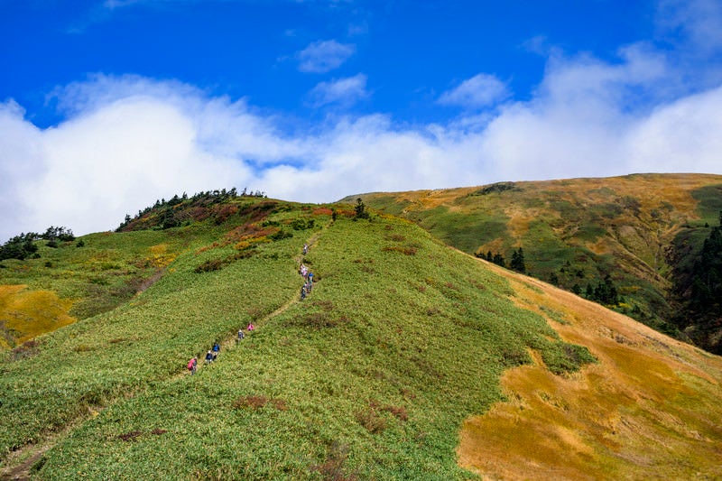 雲が晴れた巻機山山頂への道の写真