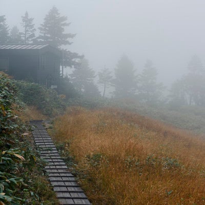 雲の中に現れる巻機山避難小屋（巻機山）の写真