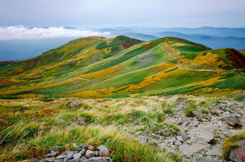 紅葉の月山のなだらかな登山道の写真