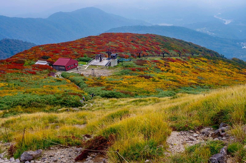 紅葉の月山ロープウェイの写真