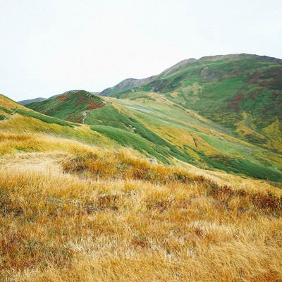 草紅葉で所々染まる月山の写真