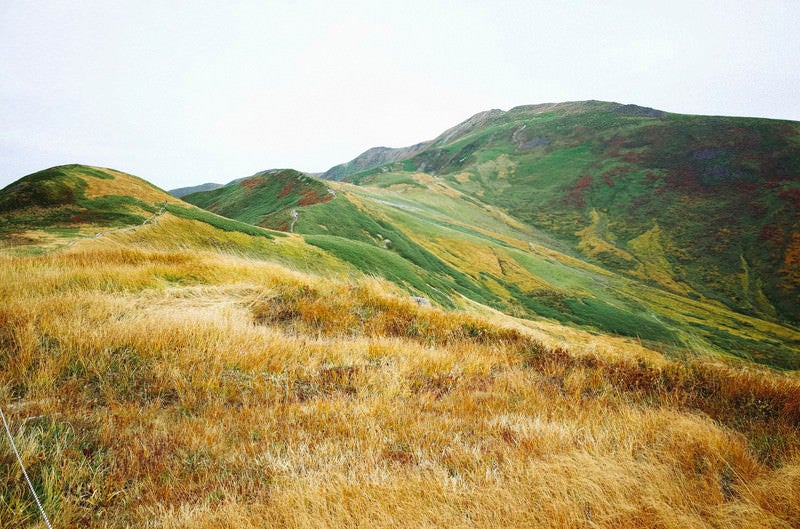 草紅葉で所々染まる月山の写真