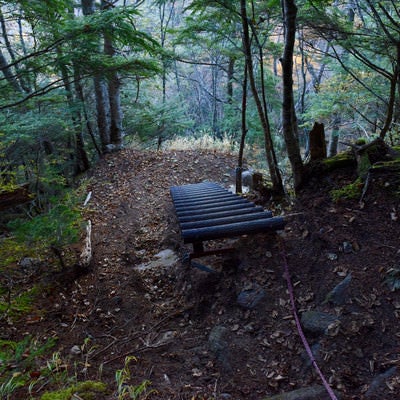 登山道によくある木造りの階段（甲斐駒ヶ岳）の写真