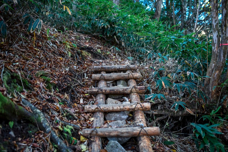 登山道にかけられた木のはしごの写真