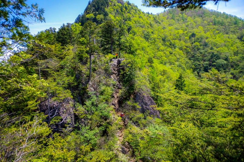 両神山八丁尾根を登る登山者たちの写真