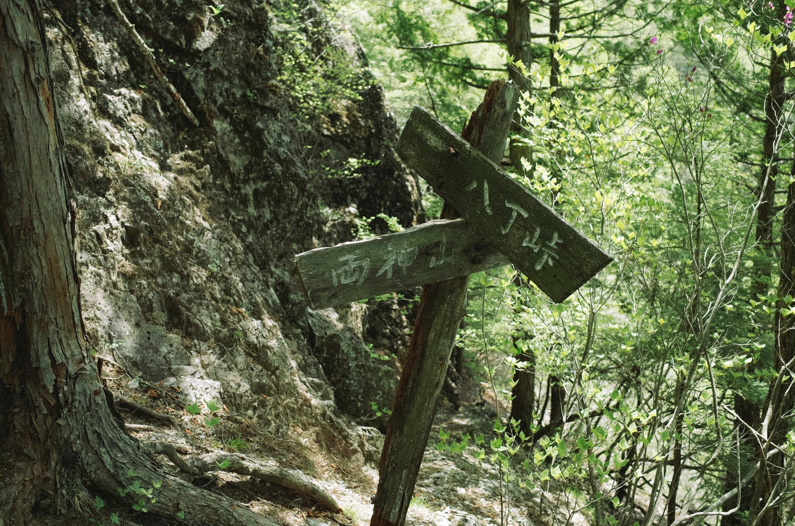 「両神山と八丁峠をさす道標」の写真