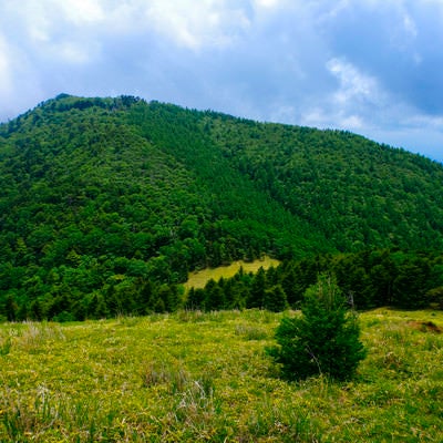 大菩薩稜線から稜線を下る先に現れる山々（大菩薩嶺）の写真