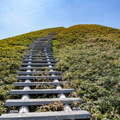 天空へと向かう木道の階段の写真