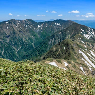 主脈から見る谷川岳の稜線の写真