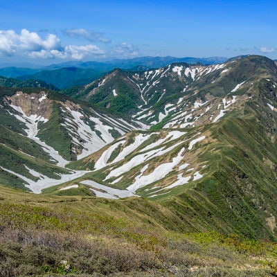 雪渓残る谷川主脈の山々の写真