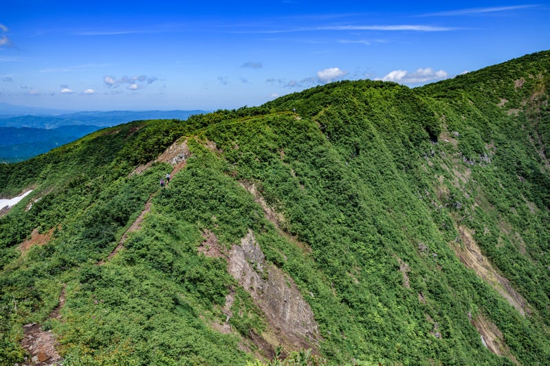 初夏の浅草岳登山道と登山者の写真