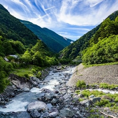 広河原から見上げる空の写真