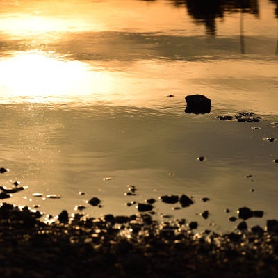 夕日に染まる水たまりの写真