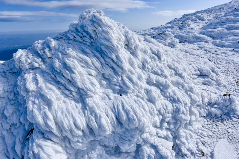 大量のエビの尻尾（安達太良山）の写真