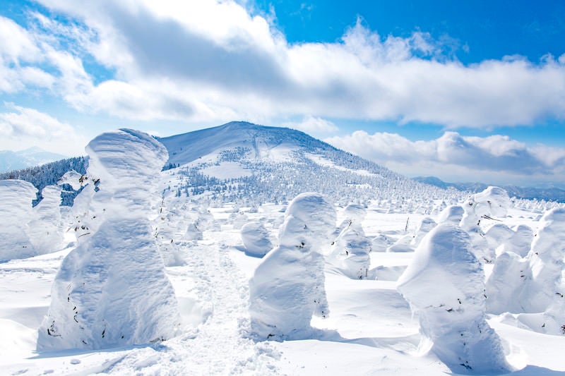 樹氷と西大嶺（ニシダイテン）の写真